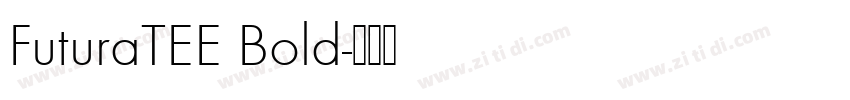 FuturaTEE Bold字体转换